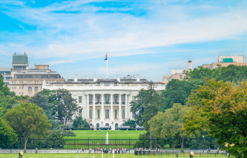 The White House, Washington DC