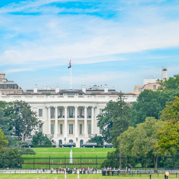 The White House, Washington DC